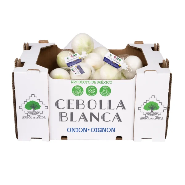 Cebolla blanca