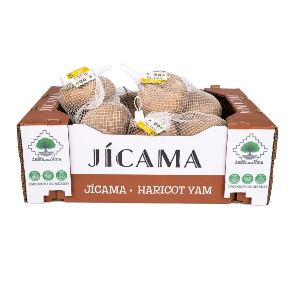 Jícama