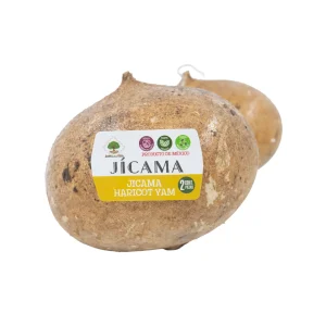 Jícama