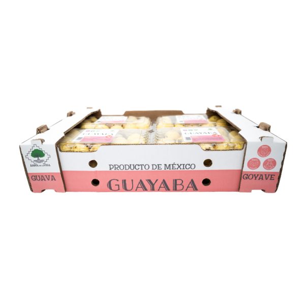 Guayaba