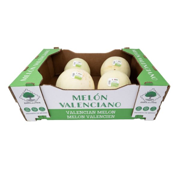 Melón Valenciano